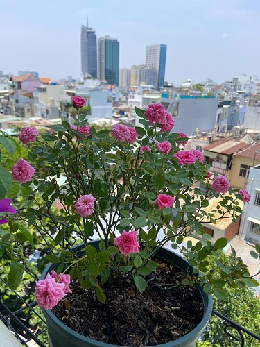 att.75phycUH4_cVi3LIUiNiDW_7rLW6S9brfpEMTgj8XzA