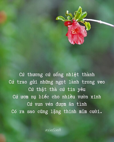 FB_IMG_1762864241846