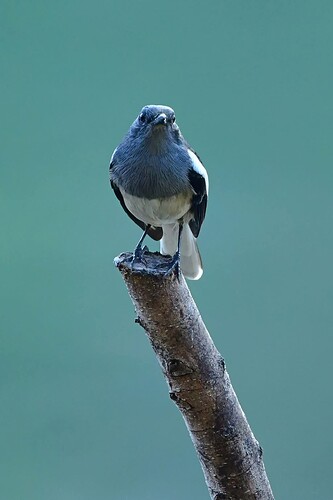 FB_IMG_1733736786266