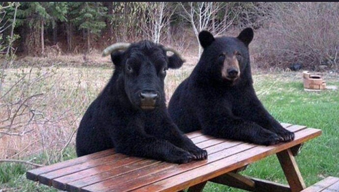 5ea762de3b10ec4eb5012