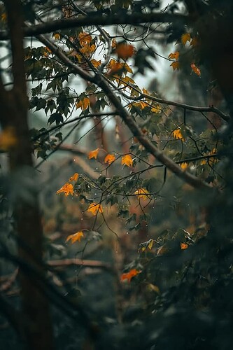 FB_IMG_1742388617960