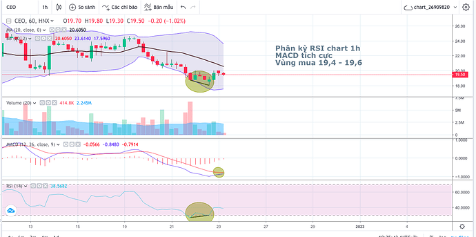 Screen Shot 2022-12-23 at 10.35.44