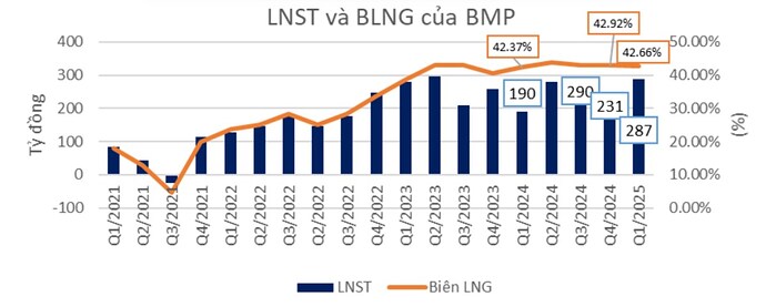 CẬP NHẬT THÔNG TIN VỀ KQKD QUÝ 1 VÀ KẾ HOẠCH 2025 CỦA BMP. 1, Tóm tắt luận điểm đầu tư từ khuyến nghị ...