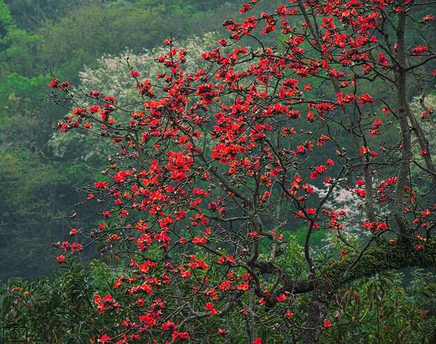 FB_IMG_1678546013721