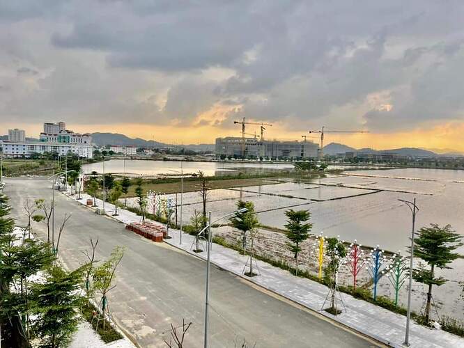 FB_IMG_1701423110686