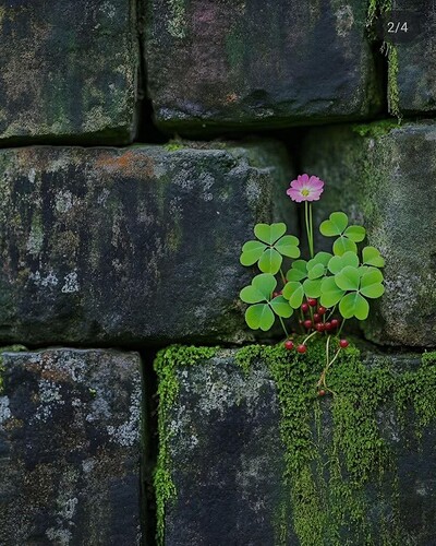 FB_IMG_1758780157082