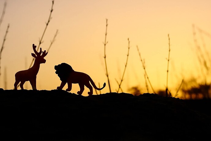 FB_IMG_1749951176197