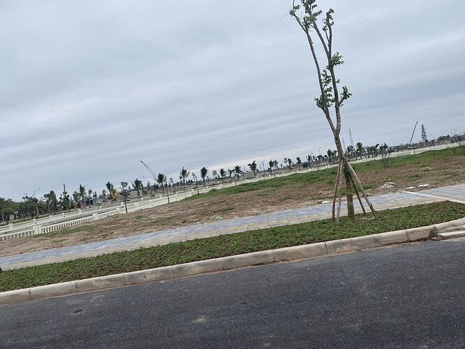 411485159_255896524169555_8208946063293258719_n