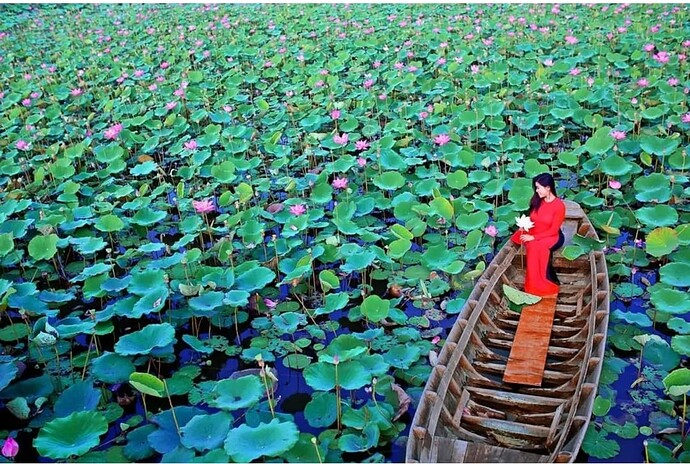 Screenshot_2023-03-21-20-40-27-312-edit_com.android.chrome