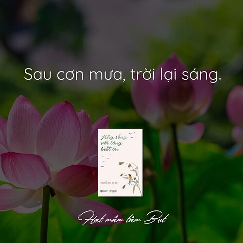 FB_IMG_1742390000229