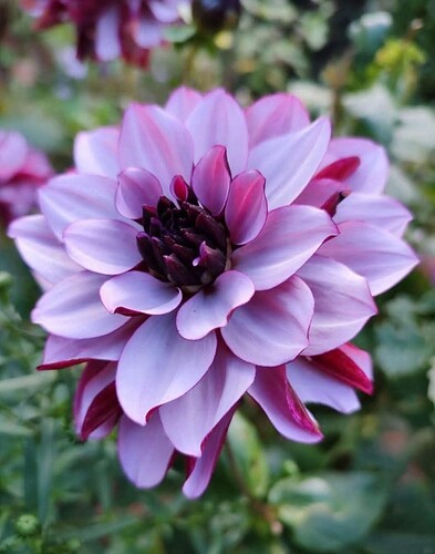 FB_IMG_1754657970170