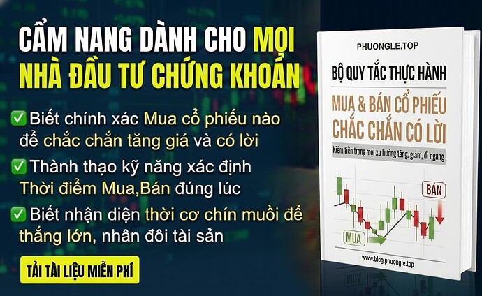 camnangthuchanh-muabancophieuchacchancoloi-phuongletop-0947409918