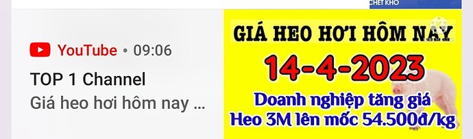 Screenshot_20230414-090649_Zalo