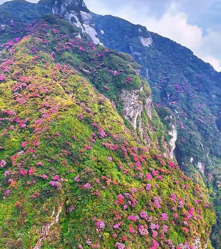 Screenshot_20250228-212710_Facebook