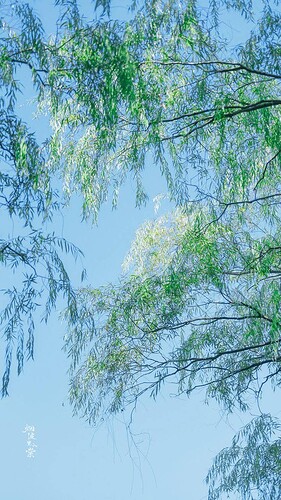 FB_IMG_1742781253895