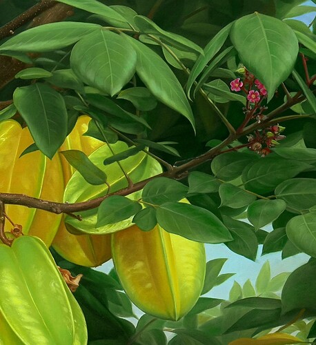 FB_IMG_1750739664696