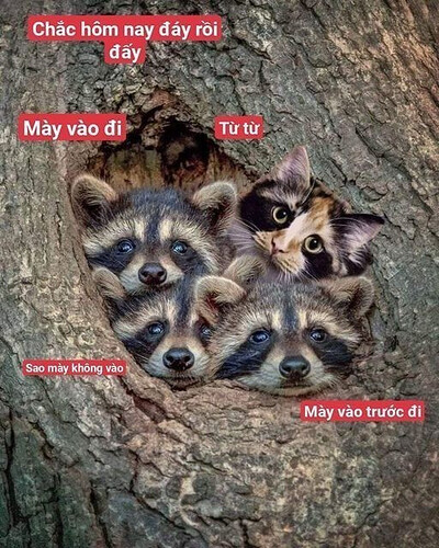 z5594519240412_3ee94ab6fb4ed39531ca00dab281006b