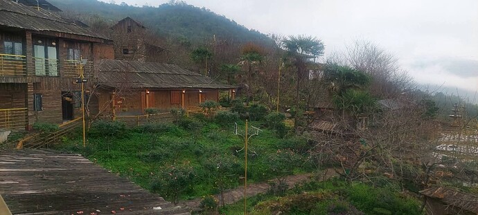 FB_IMG_1766250547149