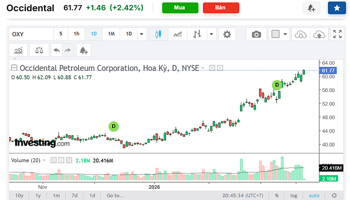 Screenshot 2026-03-24 204554