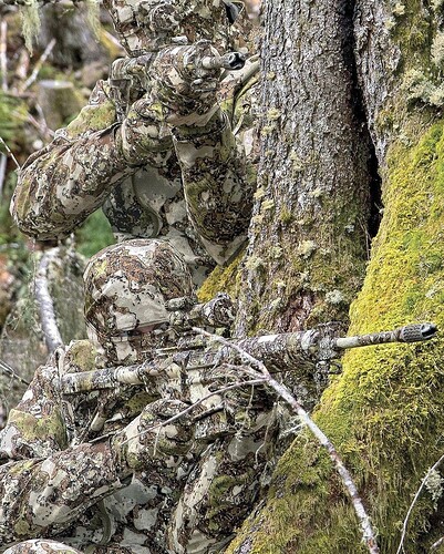 417695449_344626324999754_7690709887610826817_n