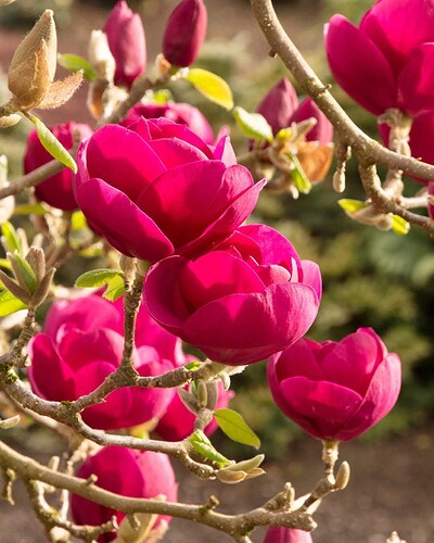 FB_IMG_1739502057015