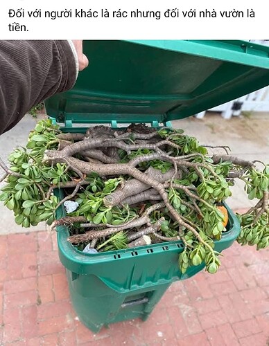 Screenshot_2025-03-23-23-09-39-263-edit_com.facebook.katana