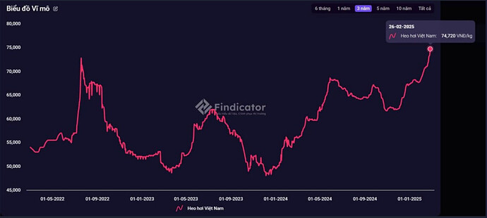 Screenshot 2025-02-27 181639