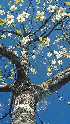 FB_IMG_1759474482239