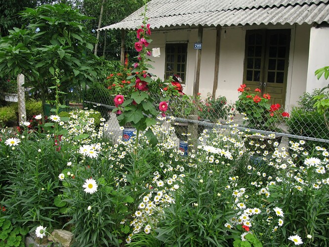 919709_151851198321023_514936170_o_151851198321023