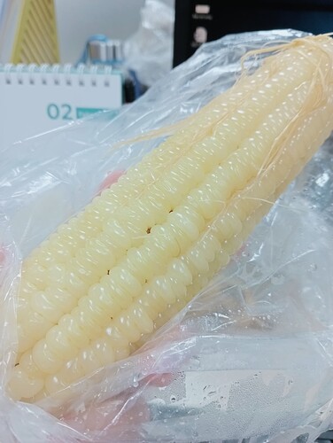 inbound9130513225699781336