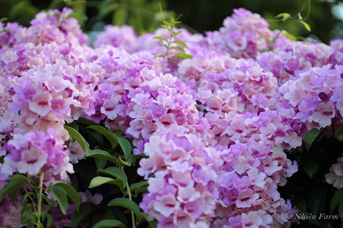 FB_IMG_1758501431524