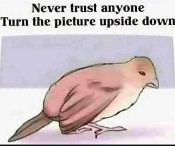 4212