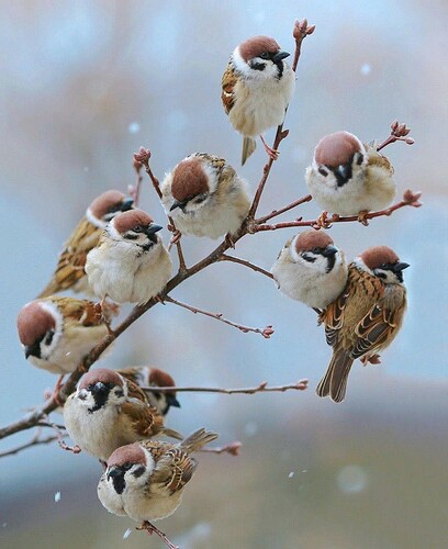 FB_IMG_1745398348054