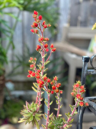 FB_IMG_1750317624354