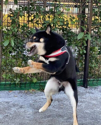 FB_IMG_1617701955999