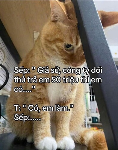 FB_IMG_1748694146012