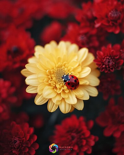 FB_IMG_1758248572817