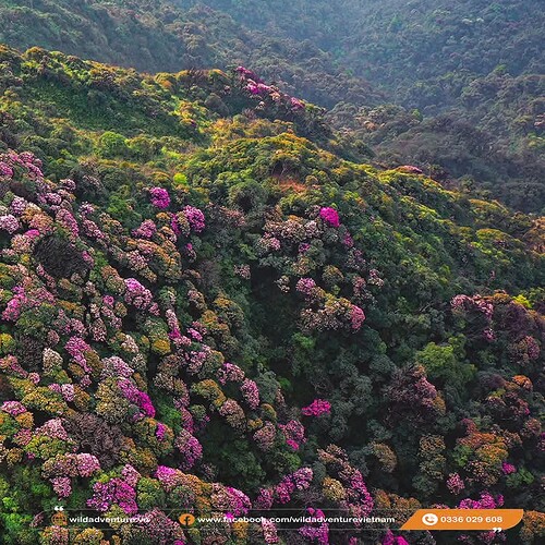 FB_IMG_1740147114301