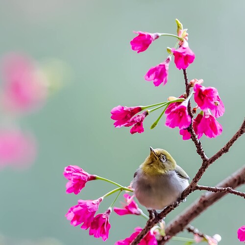 FB_IMG_1743407855414