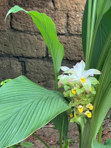 FB_IMG_1756024663022