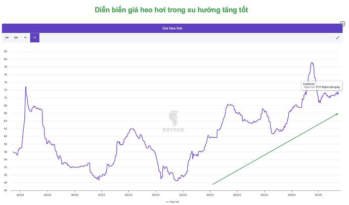 504450852_1617852215575418_8183316701879899360_n