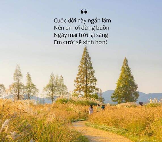 FB_IMG_1733144444419