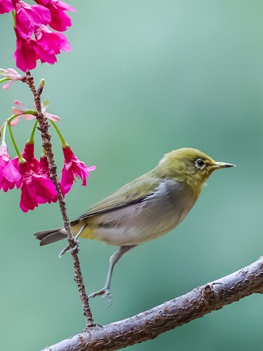 FB_IMG_1743407851933