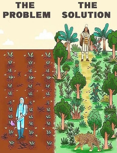 FB_IMG_1734518856671