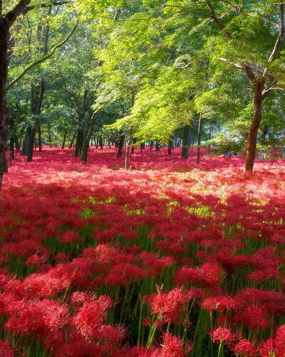 FB_IMG_1754920633620