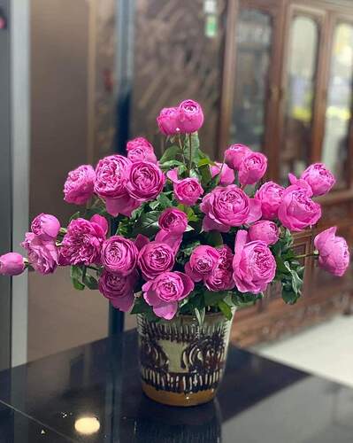 FB_IMG_1668953336270