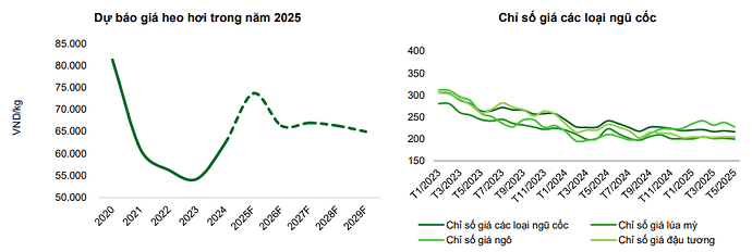 Ảnh chụp màn hình 2025-06-15 163805