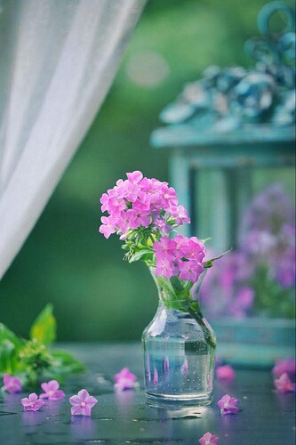 FB_IMG_1744512621113