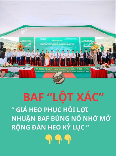 Thêm tiêu đề (9)