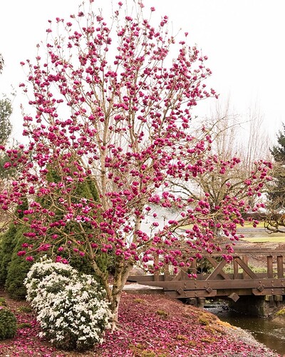 FB_IMG_1739502077398